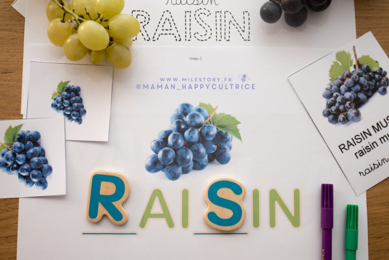 Le raisin en maternelle, cp, ce1, ce2 - Milestory.fr Fiches d'activités