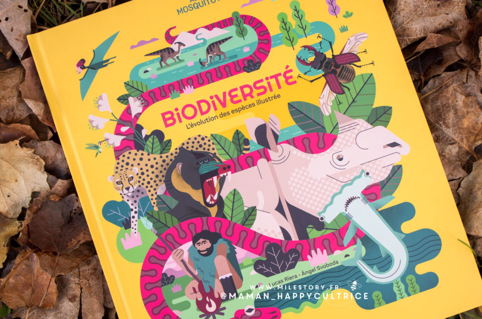 Biodiversité : l’évolution des espèces illustrée