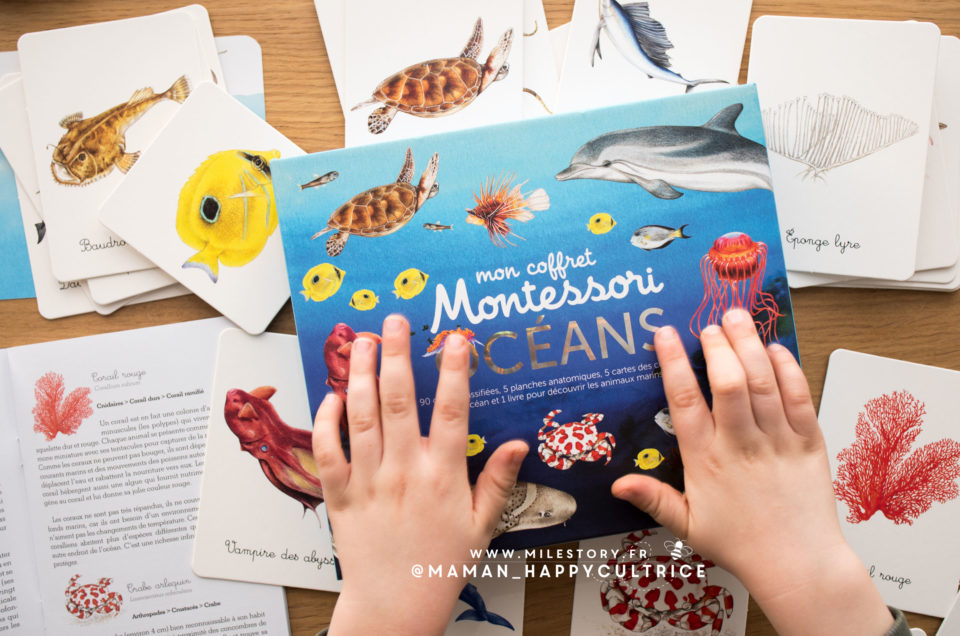Coffret Montessori Océans