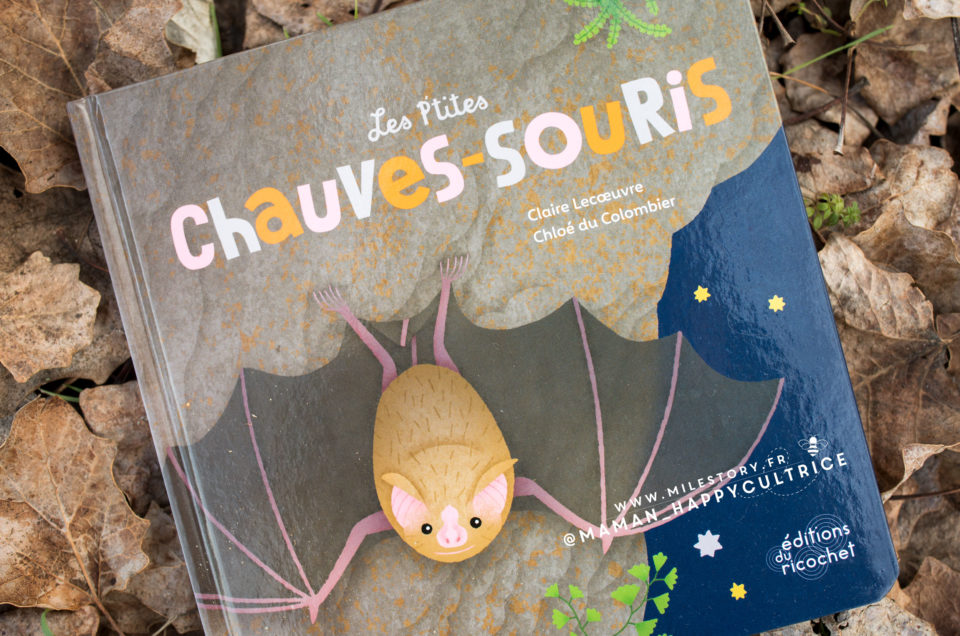 On a rencontré des chauves-souris – fiche maternelle