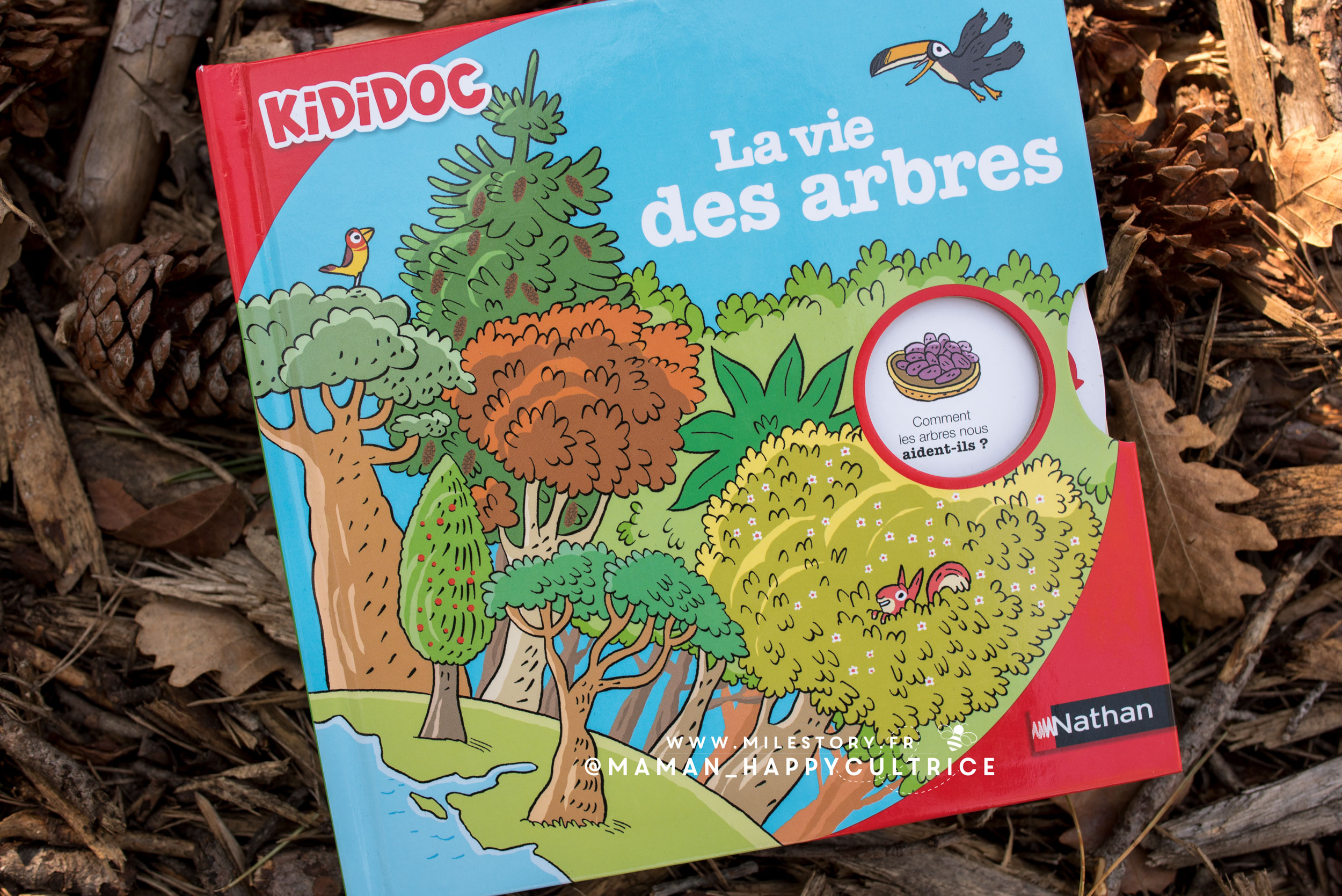 Kididoc documentaire sur les arbres - Milestory.fr Fiches d'activités