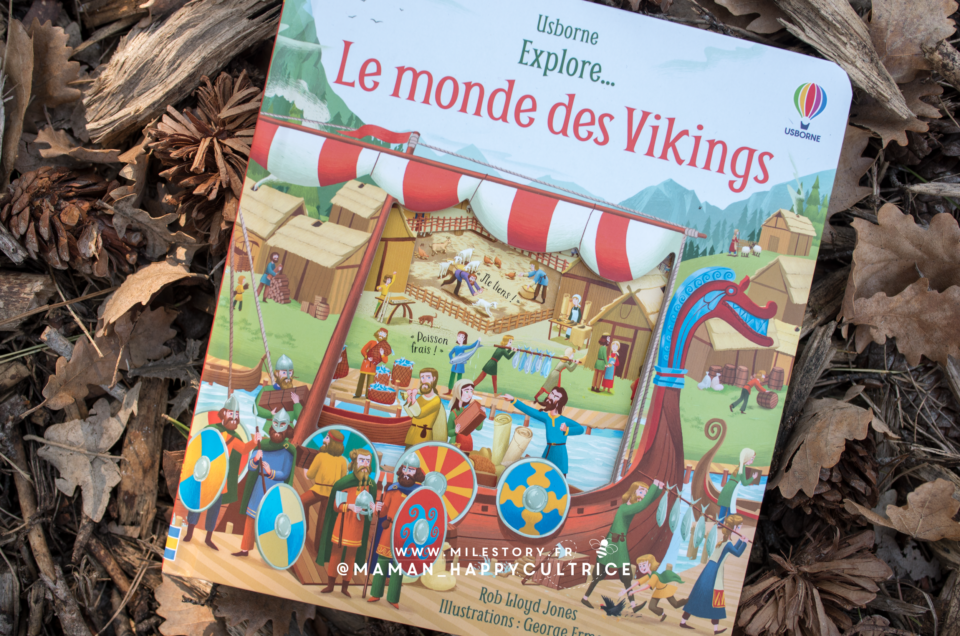 Découvrir le monde des vikings !