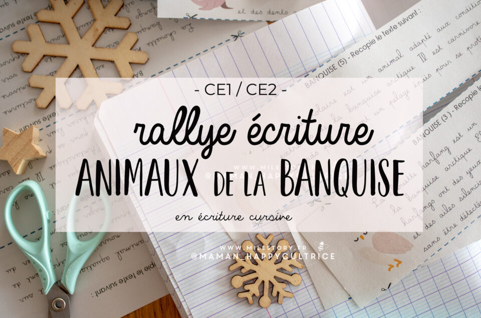 Rallye d’écriture CE1/CE2 sur les animaux de la banquise : une activité ludique pour améliorer l’écriture des enfants