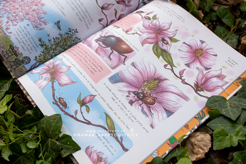 livre enfant nature printemps plantes animaux oiseaux fleurs