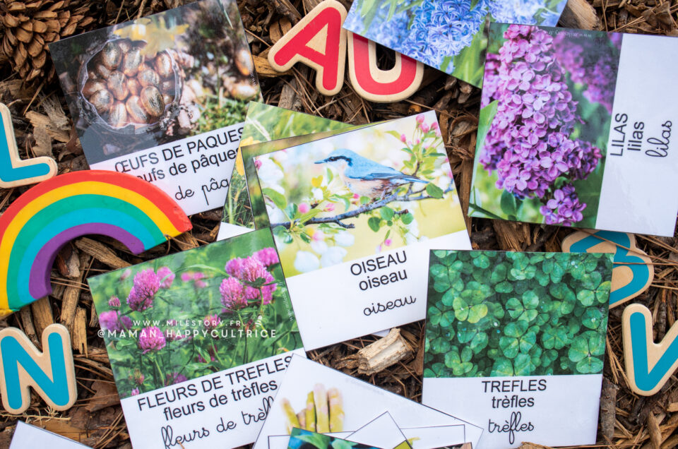 imagier de printemps à imprimer : des cartes de nomenclature pour apprendre en s’amusant