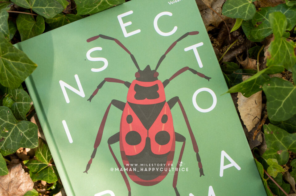 L’univers captivant des insectes dans un guide illustré