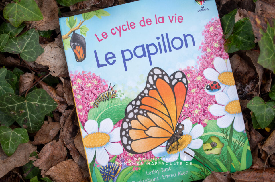 Le cycle de vie du papillon