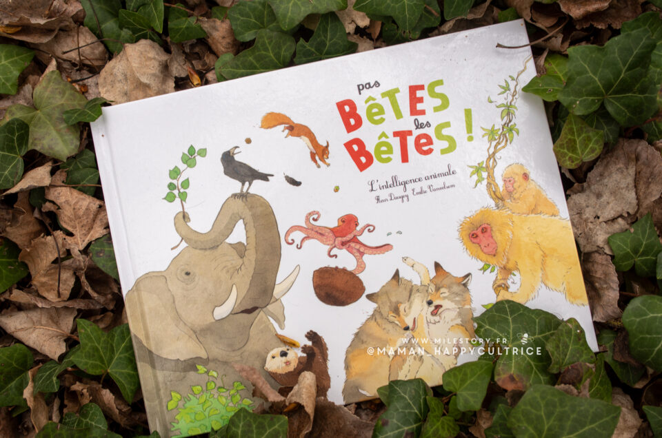 Découvrez le monde fascinant de l’intelligence animale avec ce livre pour enfants