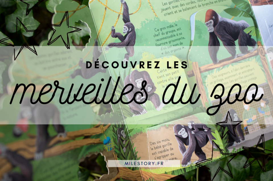 Explorez les secrets du zoo : une journée inoubliable avec les animaux et leurs soigneurs